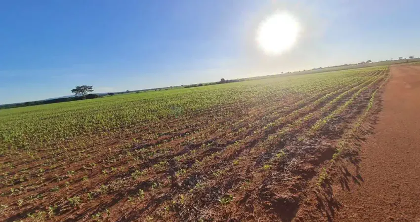 Fazenda à venda na Área Rural, Cleuza, Zona Rural, Anápolis