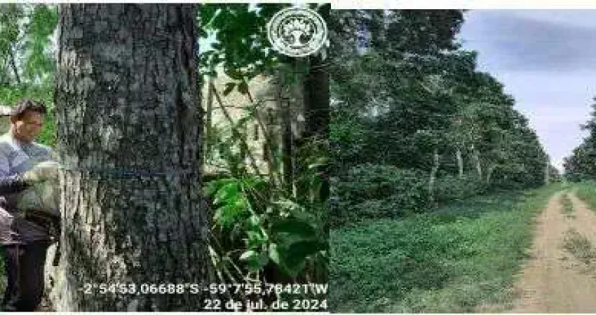 Fazenda à venda na ODOVIA AM-10 (ESTR. MANAUS – ITACOATIARA, Cleuza, Área Rural de Itacoatiara, Itacoatiara