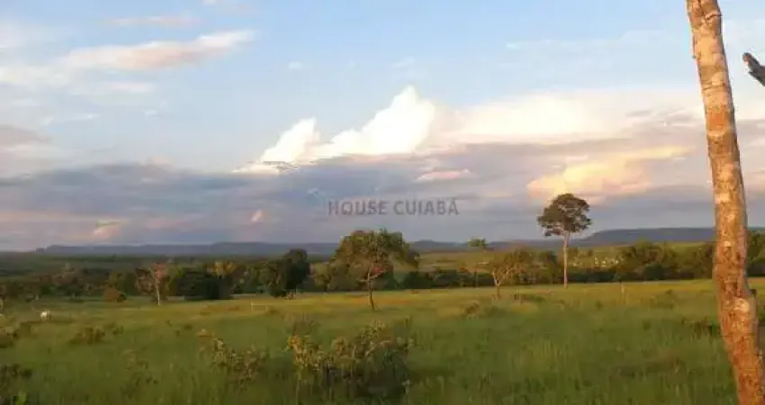 Fazenda à venda na Zona Rural, São Pedro da Cipa