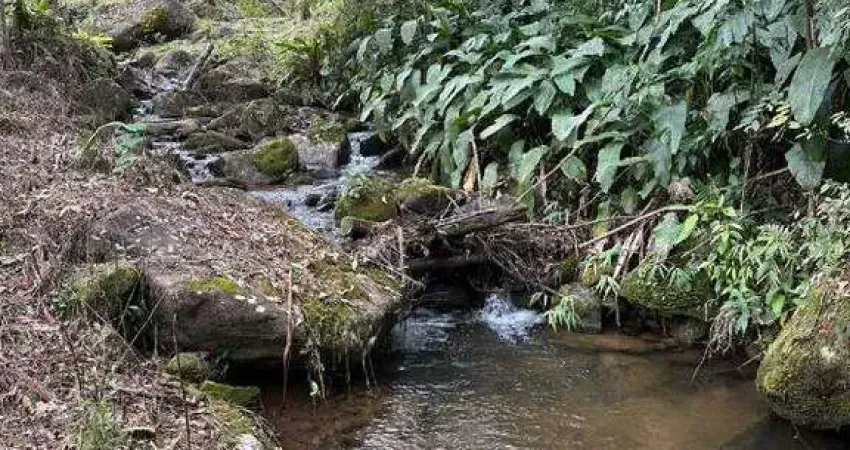 Chácara / sítio à venda no Egito, Antônio Carlos