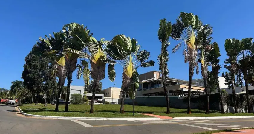 Terreno em condomínio fechado à venda na Avenida Diógenes Dolival Sampaio, 34, Jardins Milão, Goiânia