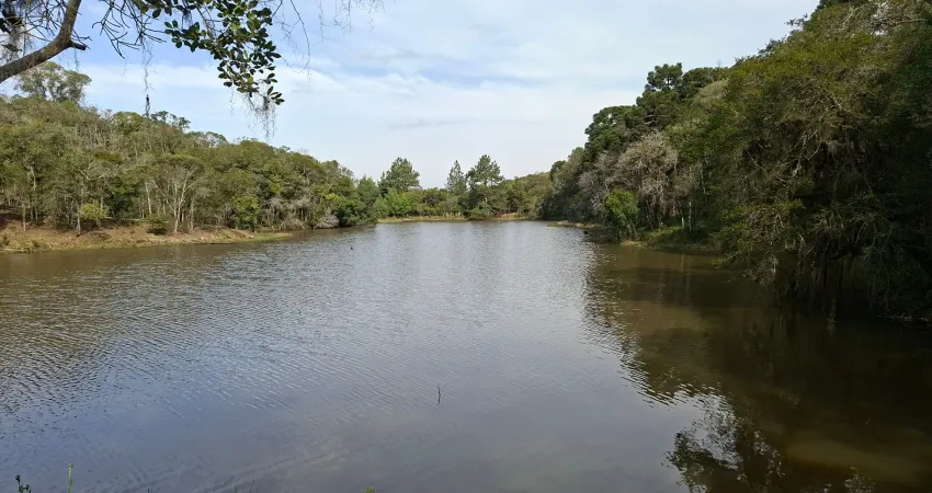Belíssima chácara semiplano super aconchegante, bairro contenda sjp-pr