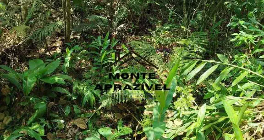 Terreno à venda no Quarta Divisão, Ribeirão Pires