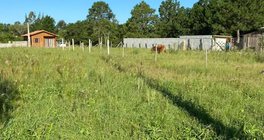 Terreno à venda na Rodovia Evádio Paulo Broering, Pinheira, Palhoça