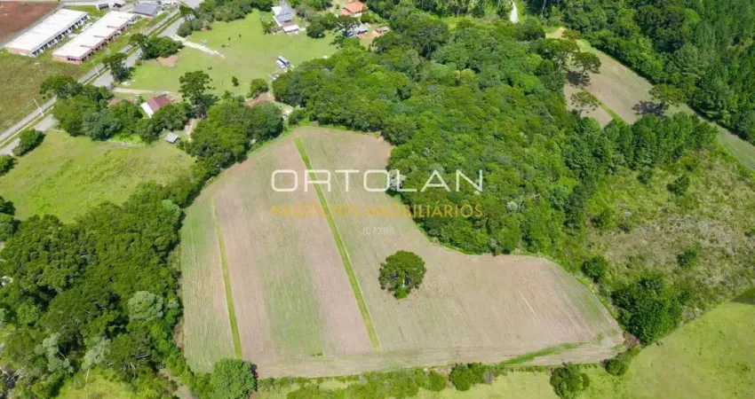 Área residencial/industrial 50.536m² – Campo Largo da Roseira - São José dos Pinhais