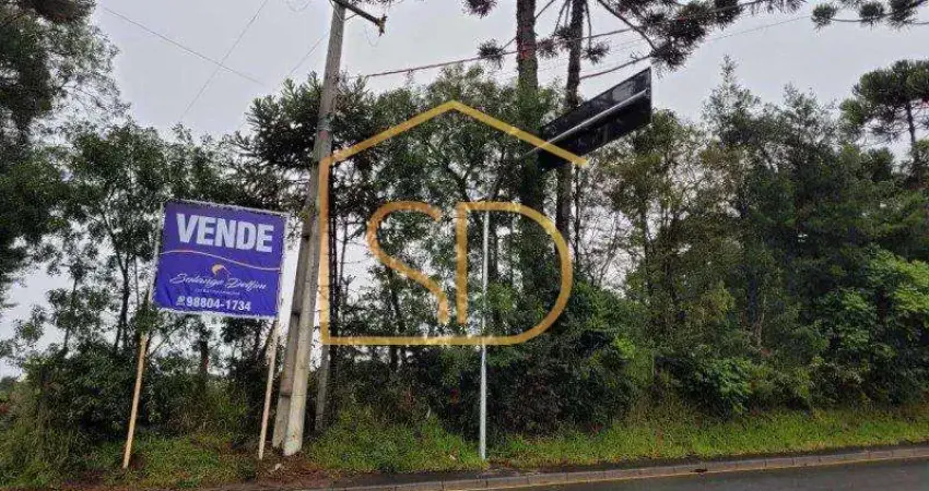 Ótimo investimento - área com 5 alqueires , à venda em são josé dos pinhais, costeira