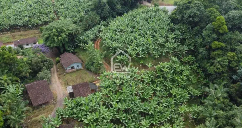 Sítio com plantação de bananas com área total de 61.400m² em jaraguá do sul, sc