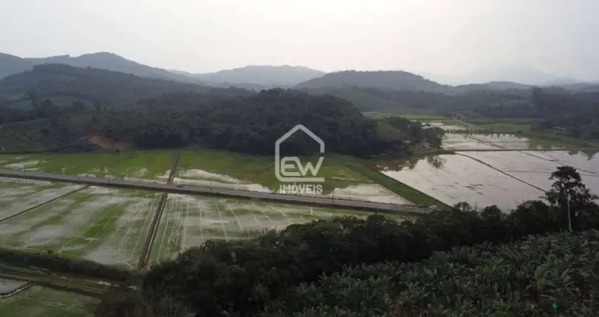 Terreno comercial à venda na Rua, 587, Centro, Massaranduba