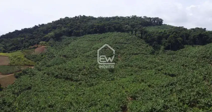 Terreno rural com plantação de bananas com área total de 56.912m² em corupá, sc