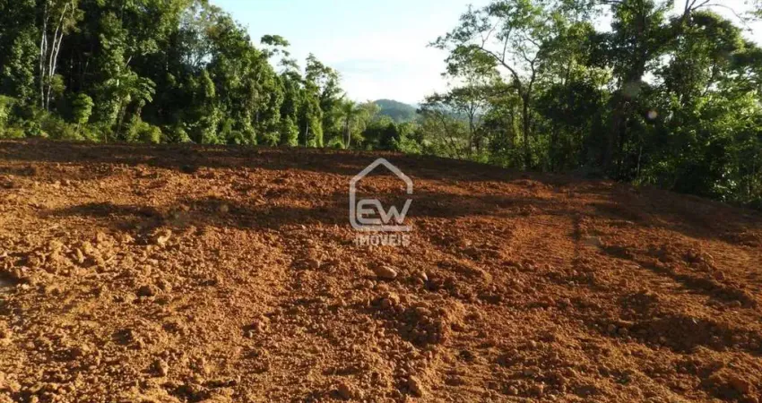 Terreno à venda na Rua, 9687, Centro, Massaranduba