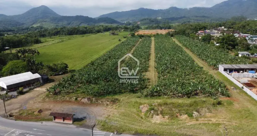 Terreno comercial à venda na Rua, 3314, Centro Norte, Schroeder