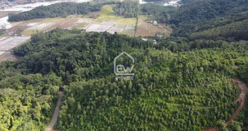 Casa com 1 quarto à venda na Rua, 1107, Braço do Norte, Massaranduba