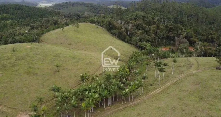 Chácara / sítio com 1 quarto à venda na Zona Rural, Guaramirim
