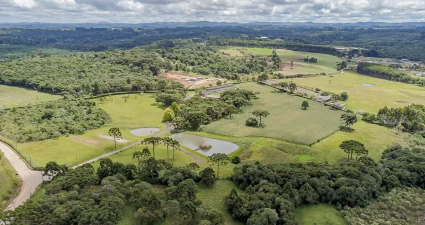 Chácara / sítio com 11 quartos à venda na Rua Coronel Monteiro, 100, Butiá, Campina Grande do Sul