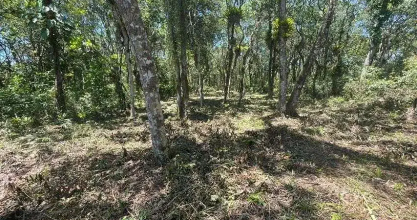 Terreno para venda no bairro gaivota, localizado na cidade de itanhaém / sp.