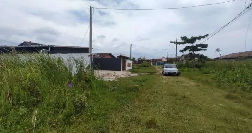 Terreno para venda no bairro gaivota, localizado na cidade de itanhaém / sp.
