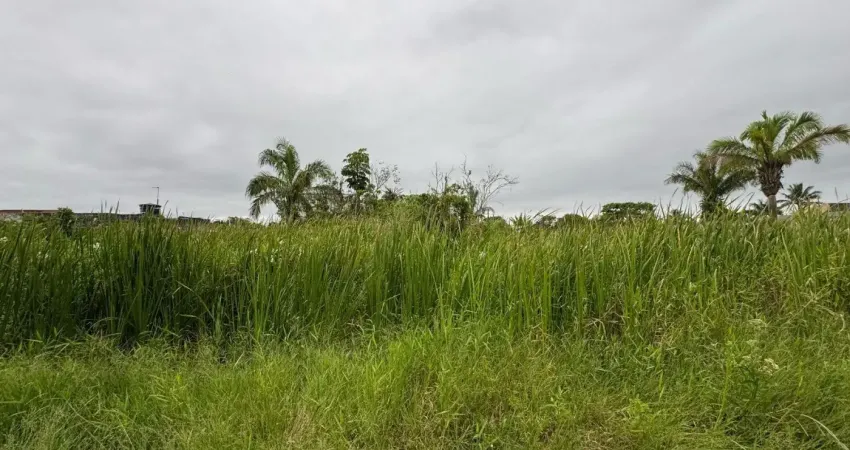 Terreno para venda no bairro gaivota, localizado na cidade de itanhaém / sp.