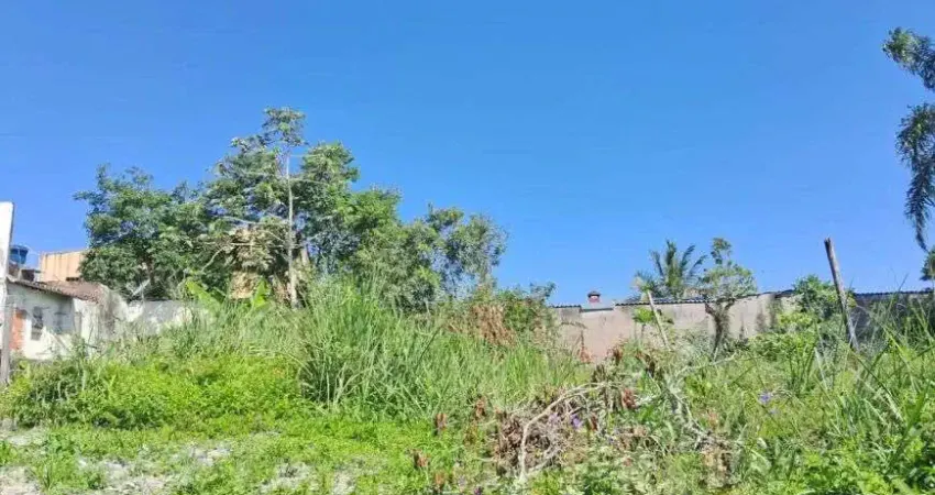 Terreno para venda no bairro palmeiras, localizado na cidade de itanhaém / sp.