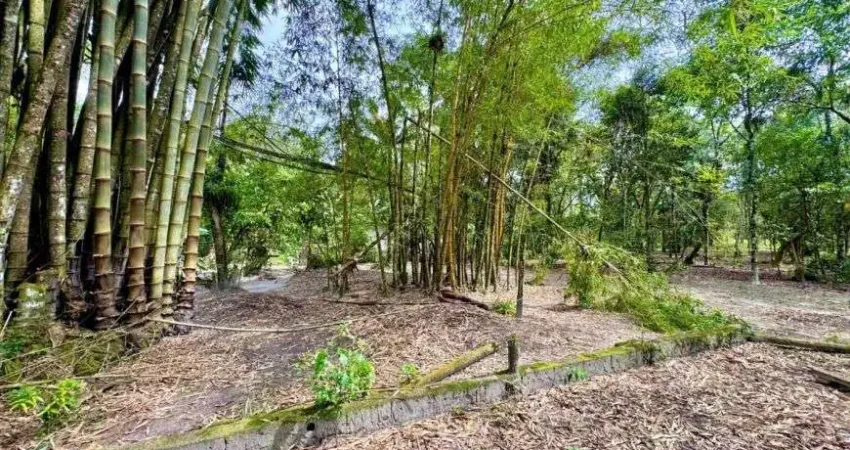 Terreno de chácara para venda no parque real, localizado na cidade de itanhaém / sp.