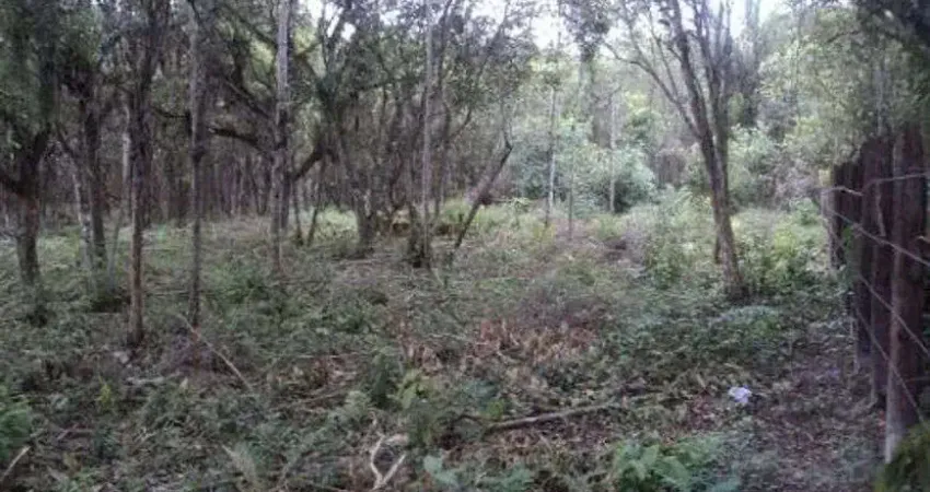Terreno de chácara para venda no bairro gaivota, localizado na cidade de itanhaém / sp.