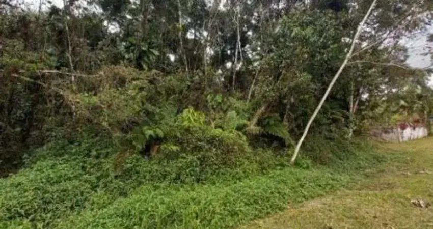 Terreno de chácara no bairro gaivota, em itanhaém, litoral sul de são paulo