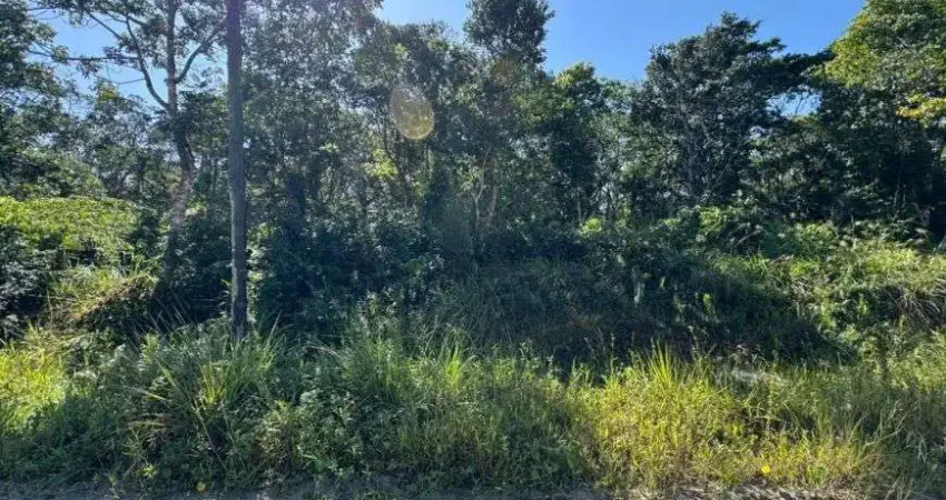 Terreno para venda no bairro são fernando, localizado na cidade de itanhaém / sp.