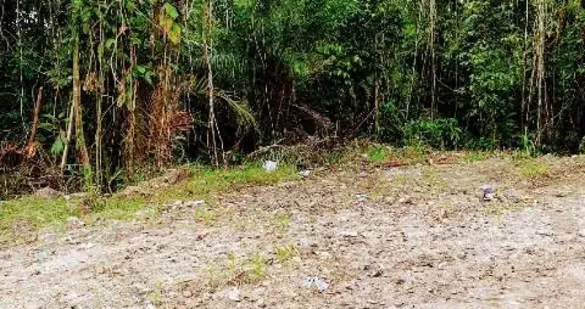Terreno bairro suarão, em itanhaém, litoral sul de são paulo, localizado lado serra