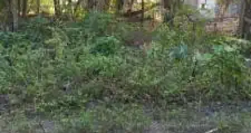 Terreno lado serra á aproximadamente 250 metros da rodovia no jardim marambá 2, em itanhaém, litoral sul de são paulo.