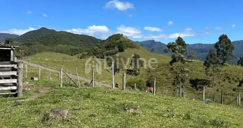 Chácara / sítio à venda no Centro, Lauro Müller