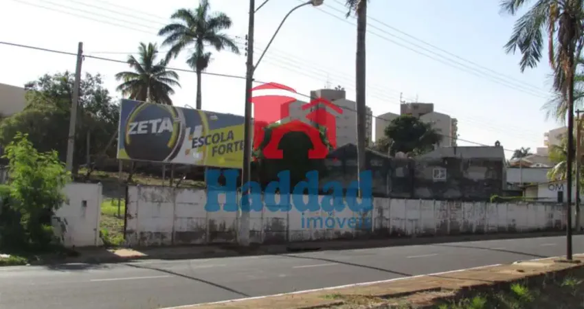 Terreno comercial à venda no Centro, Birigui 