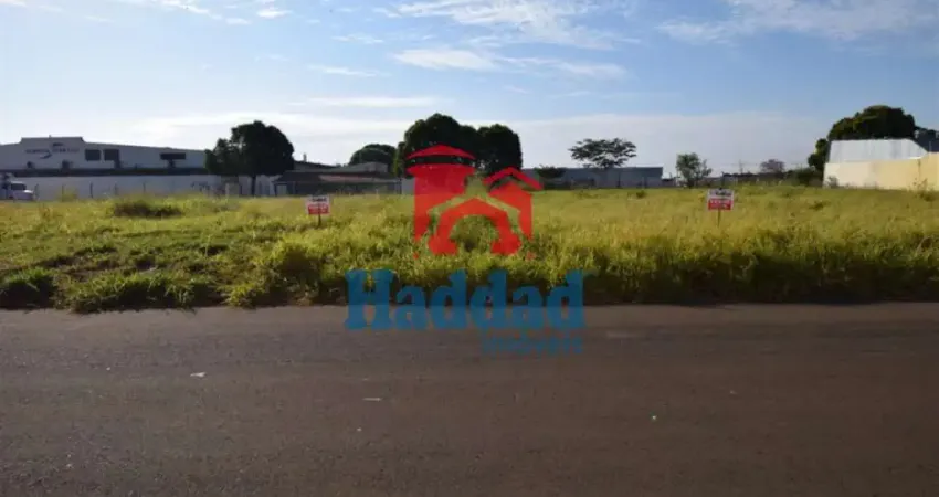 Terreno comercial à venda no Centro, Birigui 