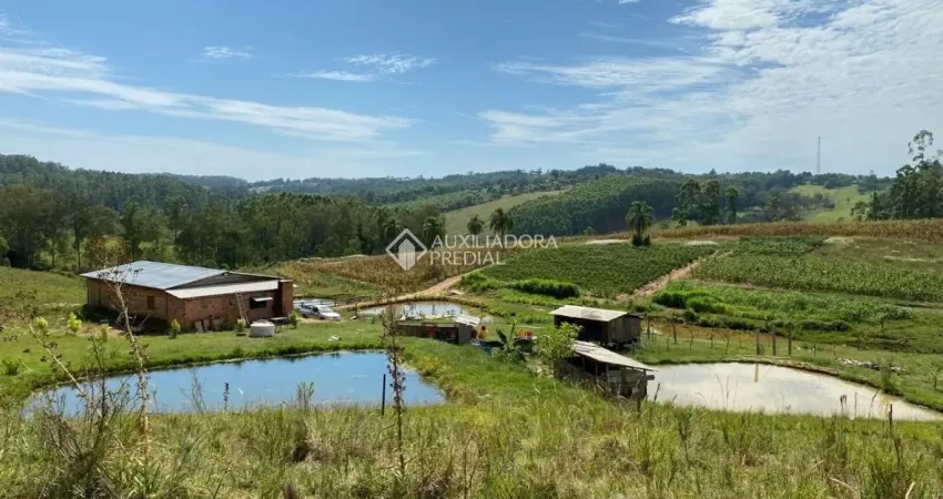 Sitio de 6 hectares na divisa de taquara com gravataí com 3 fontes 6 açudes 100% cultivável