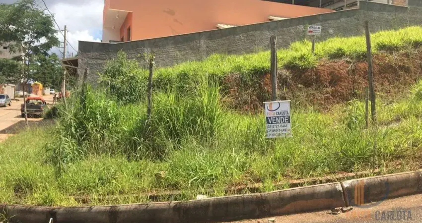 Terreno em condomínio fechado à venda na Praça Pimentel Duarte, 2, São Lucas, Conselheiro Lafaiete