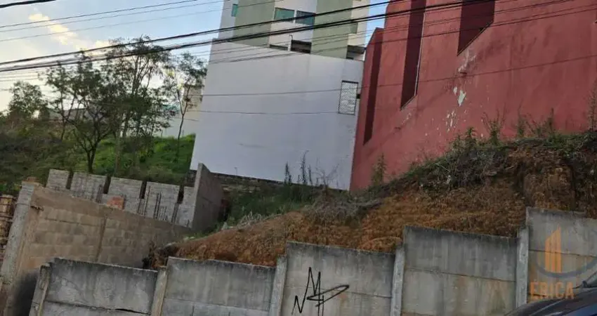 Terreno em condomínio fechado à venda na Rua Melvin Jones, 45, Campo Alegre, Conselheiro Lafaiete