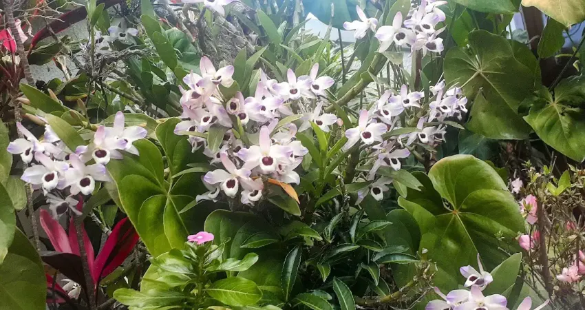 Jardim frança sobrado ensolarado localização privilegiada rua c/ segurança 24 hrs,  prox. aos melhores comércios da região  marque sua visita e comprove!