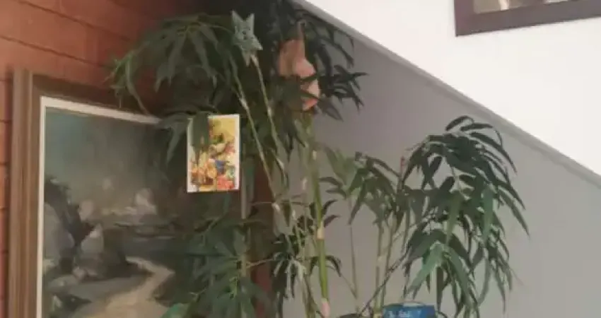 Casa em condomínio fechado à venda no Vale Feliz, Teresópolis