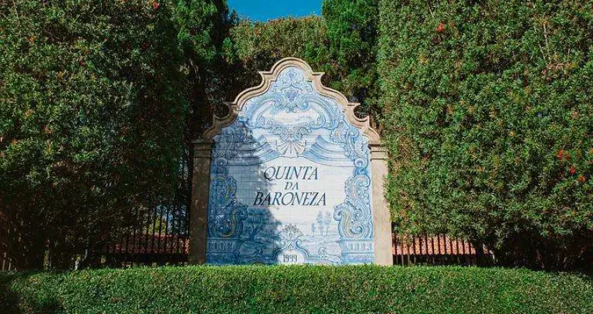 Lote à Venda na Quinta da Baroneza – Exclusividade, Luxo e Natureza em Harmonia