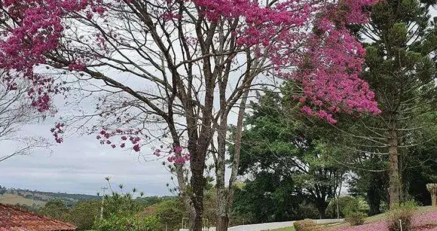 Sítio Cinematográfico à Venda | 20.000 m² | Estrutura Completa | Alto Padrão | Vista Panorâmica