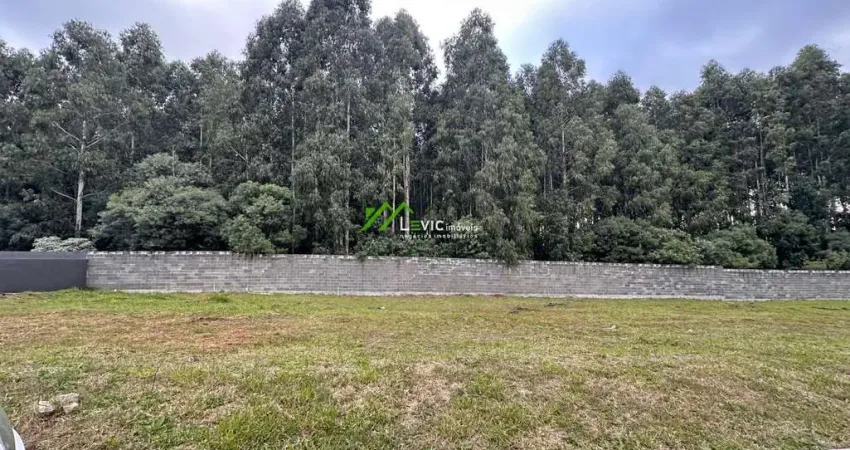 Terreno à venda no Colônia Dona LuÍza, Ponta Grossa 