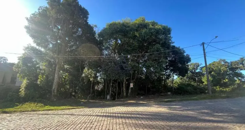 Terreno exclusivo em caxias do sul - oportunidade única no bairro nossa senhora do rosário