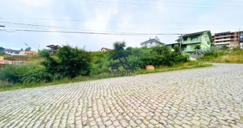 Terreno à venda na Rua Ângelo Francisco Guerra, Sanvitto, Caxias do Sul