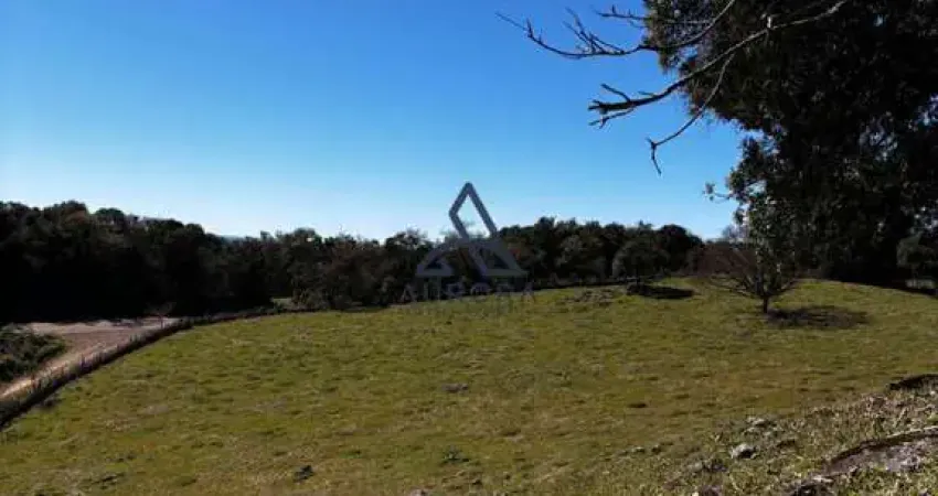 Imóvel à venda: chácara em criúva, região mulada caxias do sul