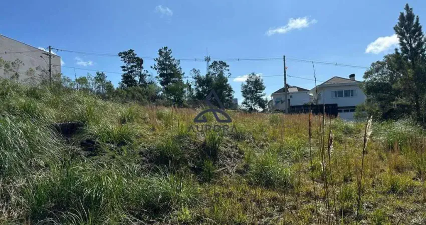 Terreno para venda em são luiz, caxias do sul - oportunidade imperdível!