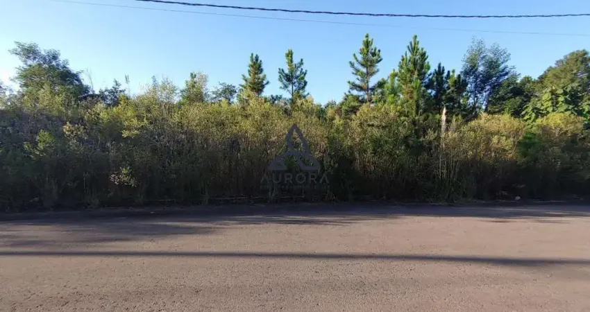 Oportunidade: terreno no residencial solar bela vista em são virgilio, caxias do sul