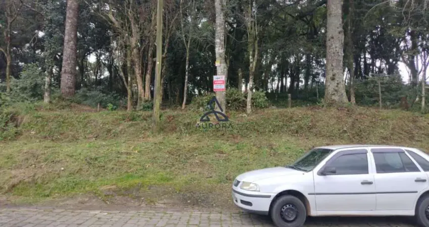 Terreno à venda em caxias do sul - bairro bela vista - exclusivo