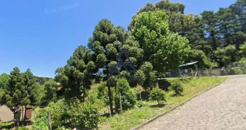 Terreno à venda na Rua Amélia Fernandes de Lima Bueno, Serrano, Caxias do Sul