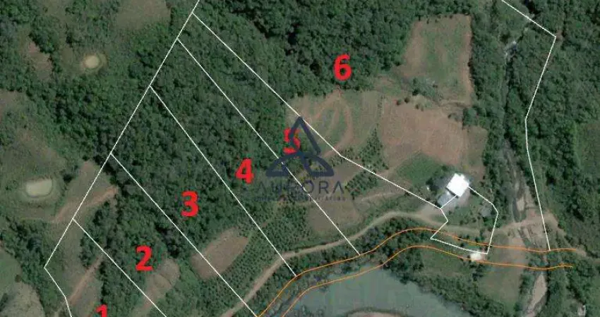 Chácara / sítio à venda na Estrada Municipal Padre Ari Camello, Santa Lúcia do Piaí, Caxias do Sul