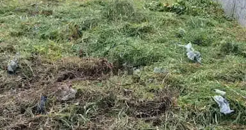 Terreno à venda, 200 m² por r$ 170.000,00 - pindamonhangaba - pindamonhangaba/sp