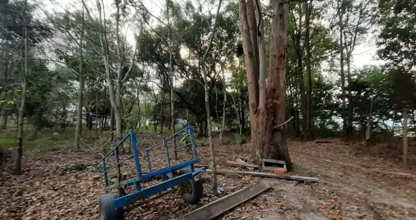 Terreno à venda, 37000 m² por r$ 2.500.000,00 - vila rosa - guaratinguetá/sp