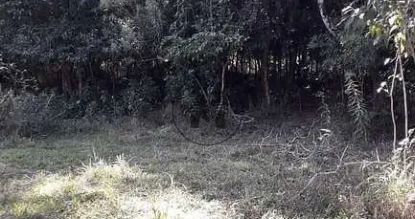 Chácara à venda, 5000 m² por R$ 350.000,00 - Bom Jardim - Guaratinguetá/SP